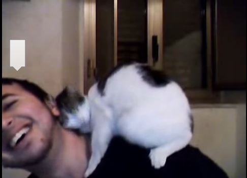 ΒΙΝΤΕΟ-Τα χάδια της δεν τον αφήνουν να διαβάσει