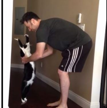 ΒΙΝΤΕΟ-Η αγκαλιά του… γάτου