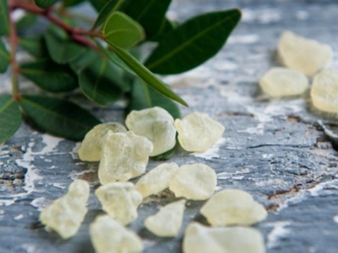 Δεν φαντάζεσαι πόσα οφέλη έχει η μαστίχα