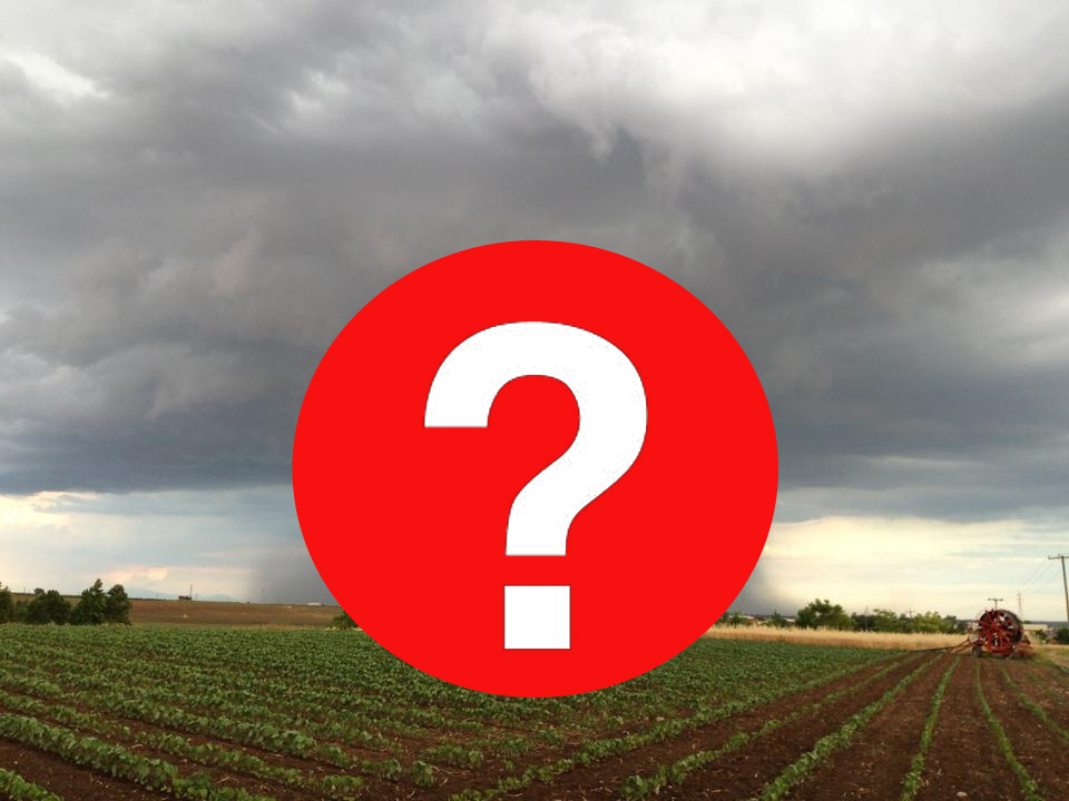 ΦΩΤΟ-Τροπικό φαινόμενο στα Γιαννιτσά