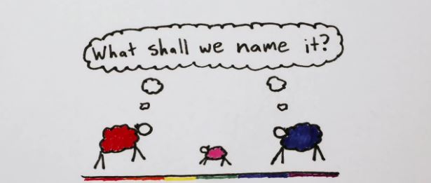 ΒΙΝΤΕΟ-Το ροζ χρώμα δεν υπάρχει