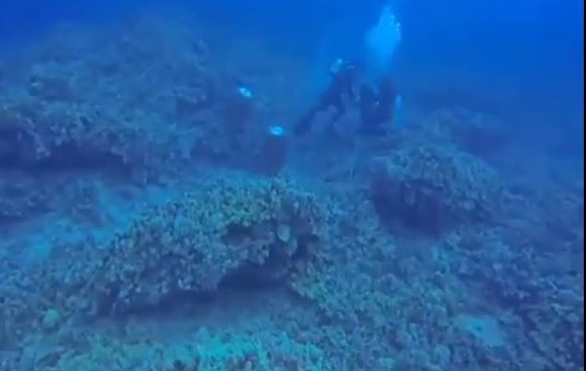 ΒΙΝΤΕΟ-Σοκ-Άγνωστος προσπάθησε να πνίξει γυναίκα στη Χαβάη