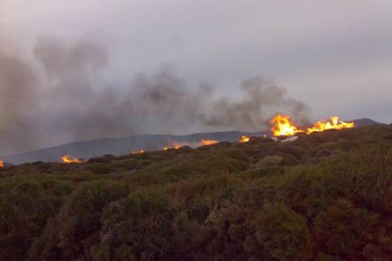 Πυργκαγιά στη Χερσόνησο