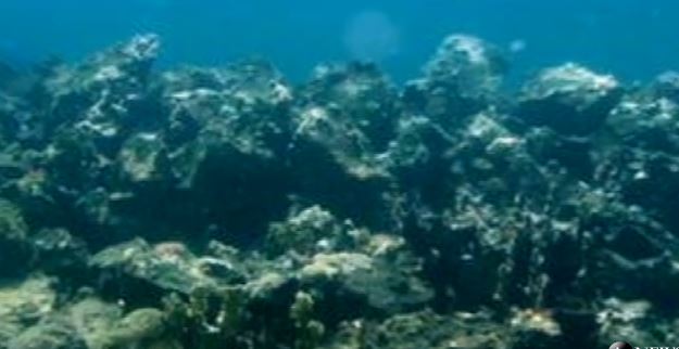 ΒΙΝΤΕΟ-Βρέθηκε το πλοίο του Χριστόφορου Κολόμβου;