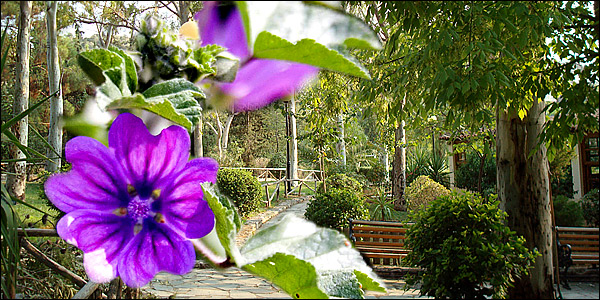 ΦΩΤΟ-Πρωτομαγιάτικοι περίπατοι στην Αθήνα