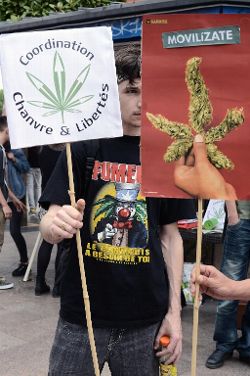 Στους δρόμους οι Γάλλοι για να νομιμοποιηθεί η μαριχουάνα