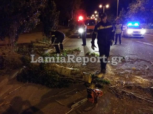 ΦΩΤΟ-Τα μποφόρ έριξαν δέντρα στη Λαμία