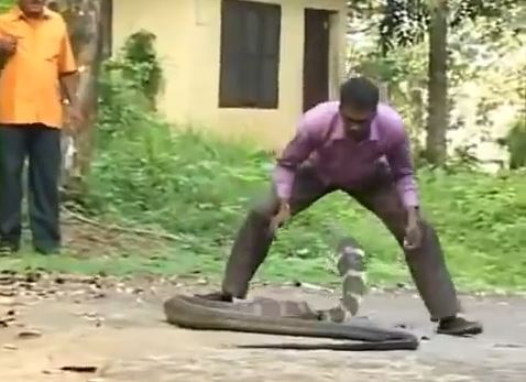 ΒΙΝΤΕΟ-Ο γητευτής της κόμπρας