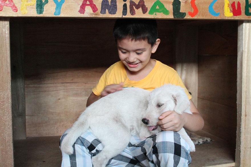 perierga.gr - 9χρονος δημιουργεί το δικό του κέντρο αδέσποτων ζώων!