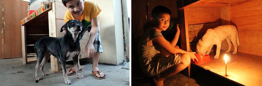 perierga.gr - 9χρονος δημιουργεί το δικό του κέντρο αδέσποτων ζώων! perierga.gr - 9χρονος δημιουργεί το δικό του κέντρο αδέσποτων ζώων!