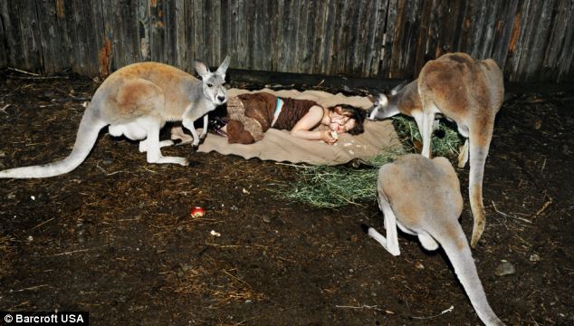 Time for a nap: Little Amelia has a lie down as she gets up close to  kangaroos in 2007