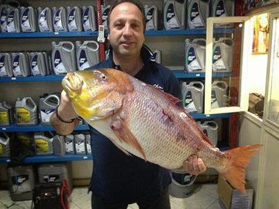 Ψάρεψαν συναγρίδα τέρας