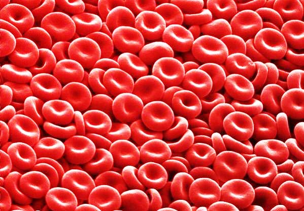 perierga.gr - Το ανθρώπινο σώμα στο μικροσκόπιο!