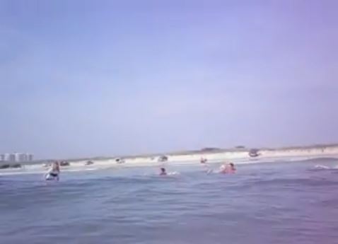 ΒΙΝΤΕΟ-Καρχαρίες περικύκλωσαν σέρφερ