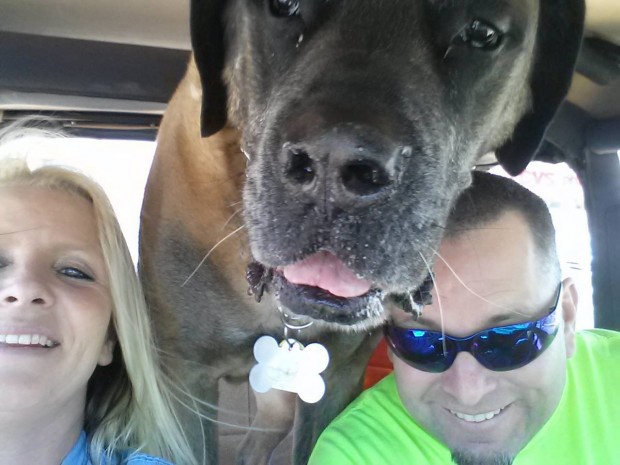 ΦΩΤΟ-Τα μεγαλύτερα κουτάβια που έχετε δει