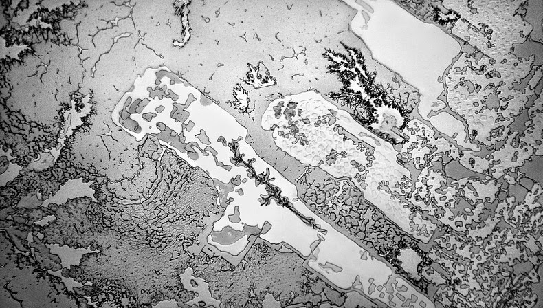 perierga.gr - Πώς είναι τα δάκρυα κάτω από το μικροσκόπιο; perierga.gr - Πώς είναι τα δάκρυα κάτω από το μικροσκόπιο;