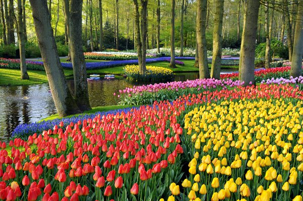 Ο μεγαλύτερος κήπος λουλουδιών στην Ευρώπη