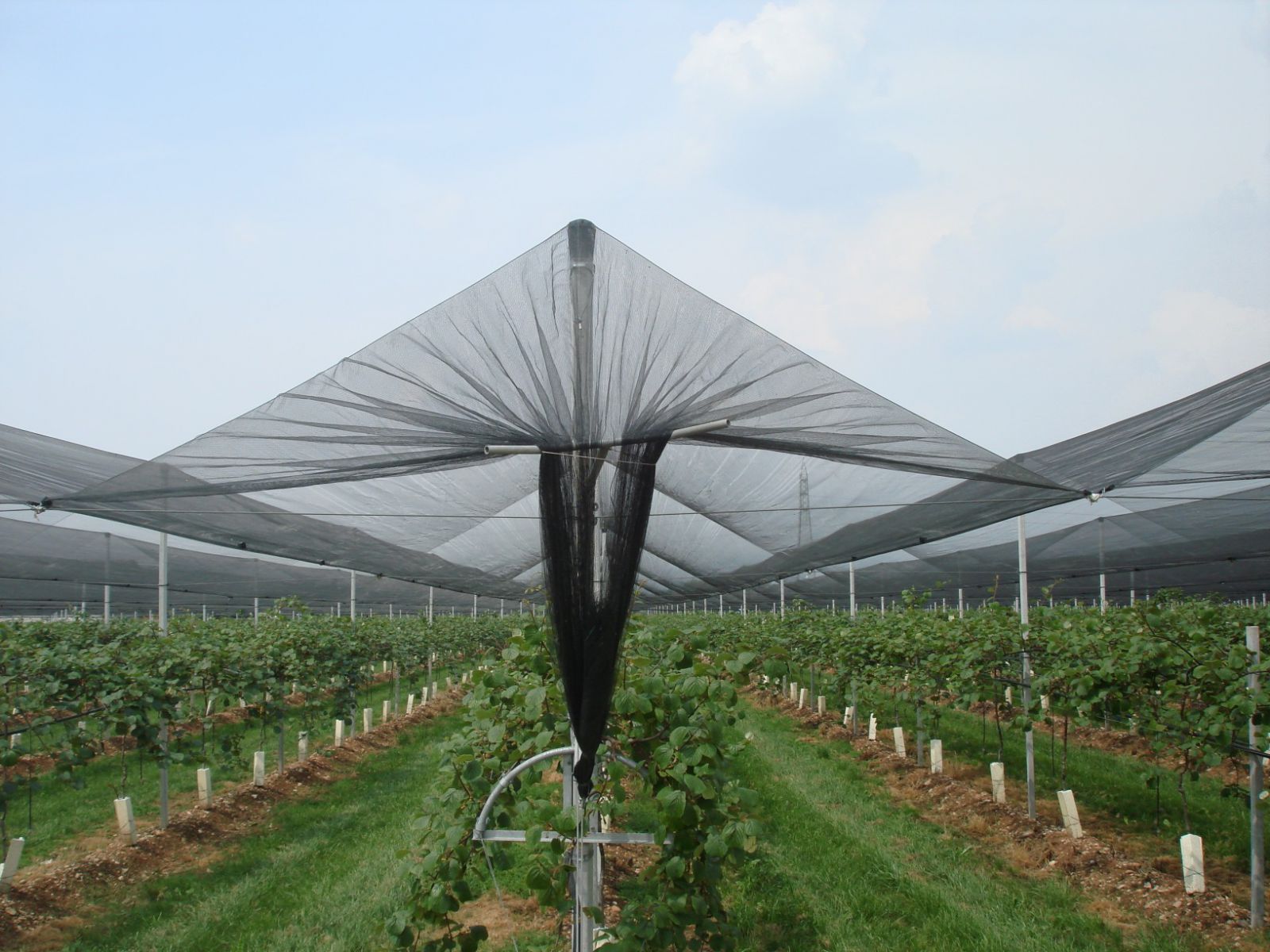 Θα συνεχιστεί το πρόγραμμα αντιχαλαζικής προστασίας