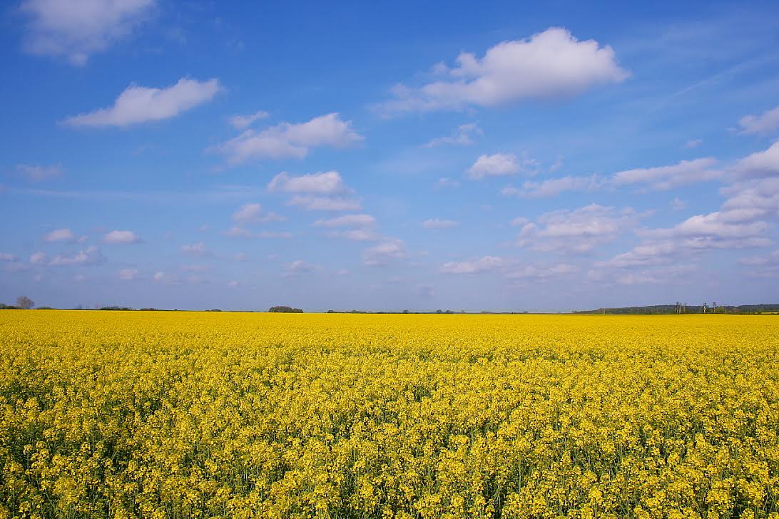 ΒΙΝΤΕΟ-Η πρόγνωση του καιρού έως και την Τετάρτη από τον Σάκη Αρναούτογλου