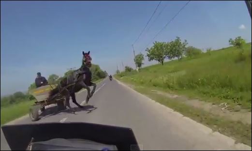 ΒΙΝΤΕΟ-Παραλίγο μετωπική μηχανής με… άλογο