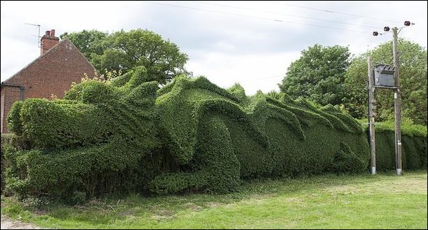ΦΩΤΟ-Μετέτρεψε τον κήπο του σε γιγαντιαίο δράκο