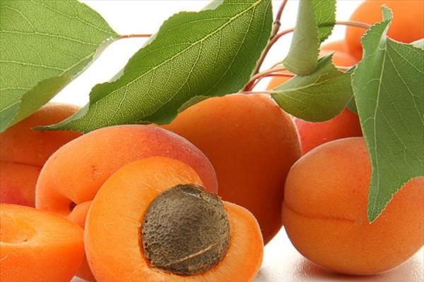 Βερίκοκα-Ένα φάρμακο στην κουζίνα σας