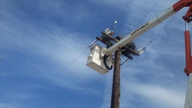 ΦΩΤΟ-Έφτιαξαν νέα φωλιά στους πελαργούς