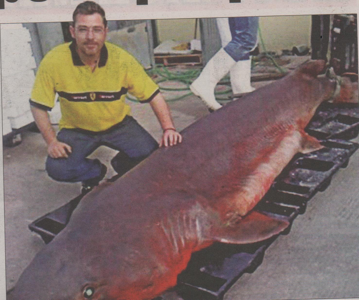 ΦΩΤΟ-Έπιασε δίμετρο καρχαρία