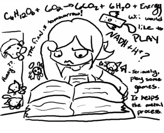 Ο φόβος του μαθητή πριν τις εξετάσεις. Πώς αντιμετωπίζεται;