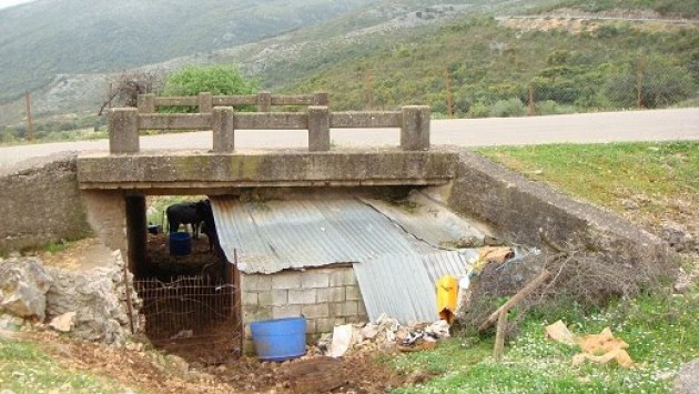 Θρήνος για 54χρονο άντρα που κρεμάστηκε από δέντρο