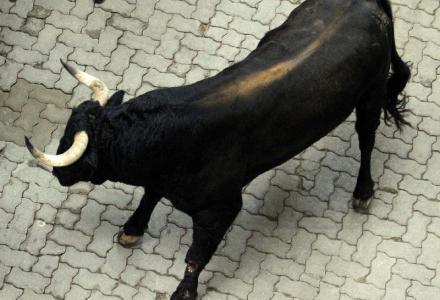 Τον έστειλε στο νοσοκομείο ένας ταύρος