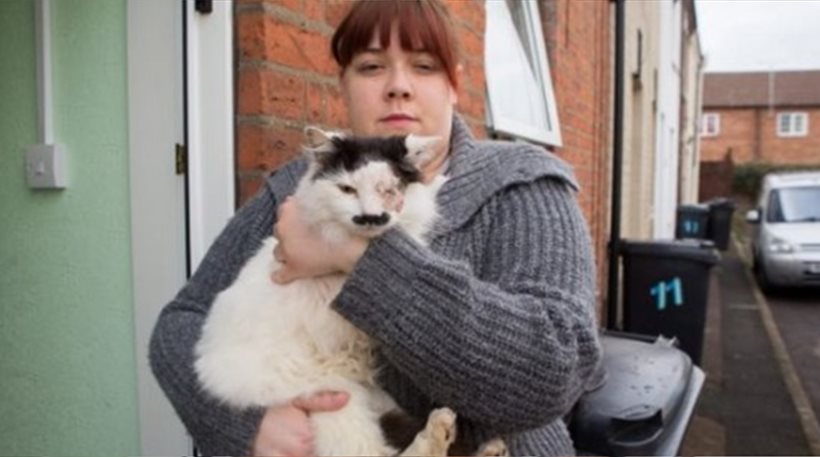 Τύφλωσαν γάτα επειδή μοιάζει στον Χίτλερ