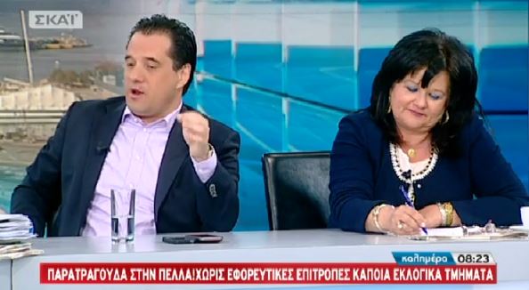 ΒΙΝΤΕΟ-Άδωνις: Ψηφίζω… Μιχελάκη