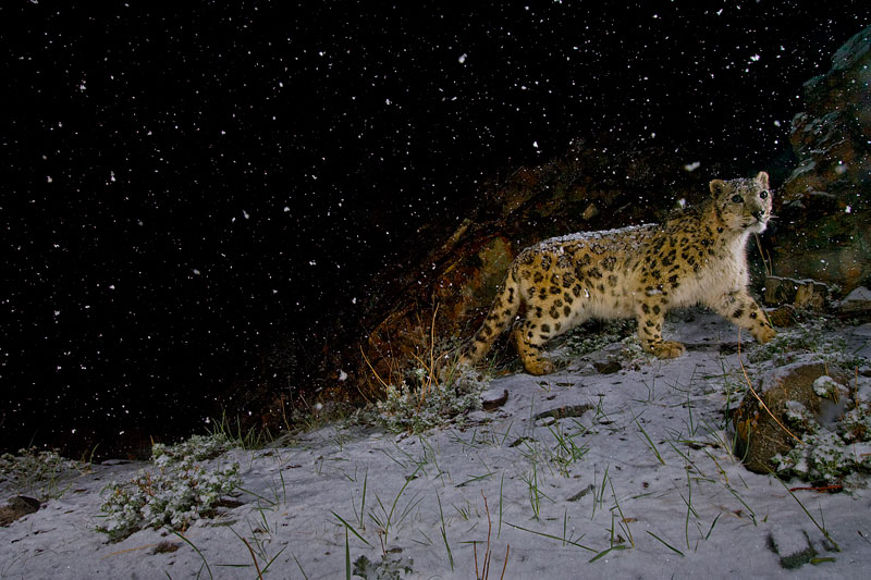 perierga.gr - Οι καλύτερες φωτογραφίες του National Geographic τα τελευταία 125 χρόνια perierga.gr - Οι καλύτερες φωτογραφίες του National Geographic τα τελευταία 125 χρόνια