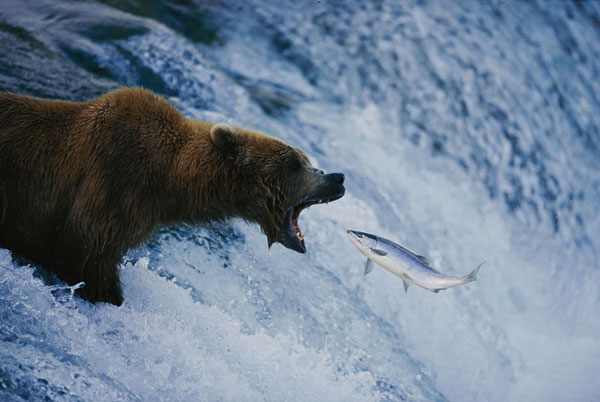 perierga.gr - Οι καλύτερες φωτογραφίες του National Geographic τα τελευταία 125 χρόνια perierga.gr - Οι καλύτερες φωτογραφίες του National Geographic τα τελευταία 125 χρόνια