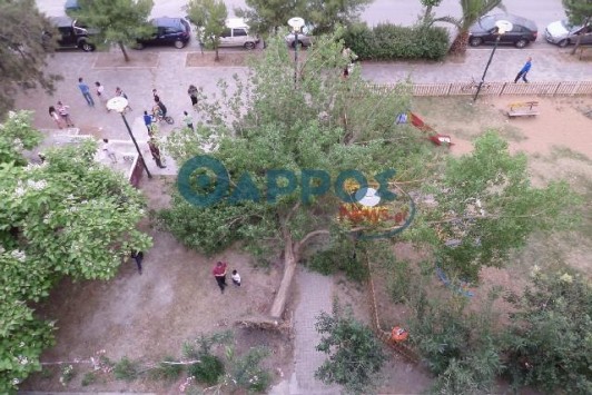 ΒΙΝΤΕΟ-Καταπλακώθηκε 15χρονη από δέντρο που έπεσε