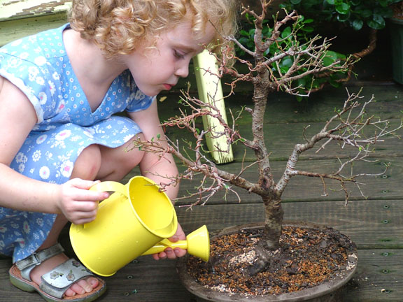 Χανιά-Ανάγκη εξοικονόμησης νερού