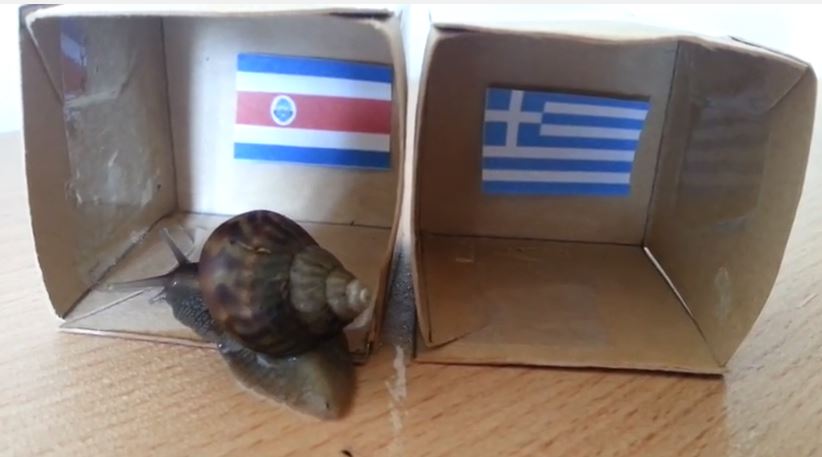 ΒΙΝΤΕΟ-Το… σαλιγκάρι του μουντιάλ “βλέπει” Κόστα Ρίκα