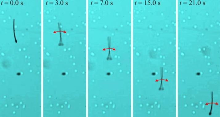Δημιούργησαν το πρώτο ρομπότ-σπερματοζωάριο