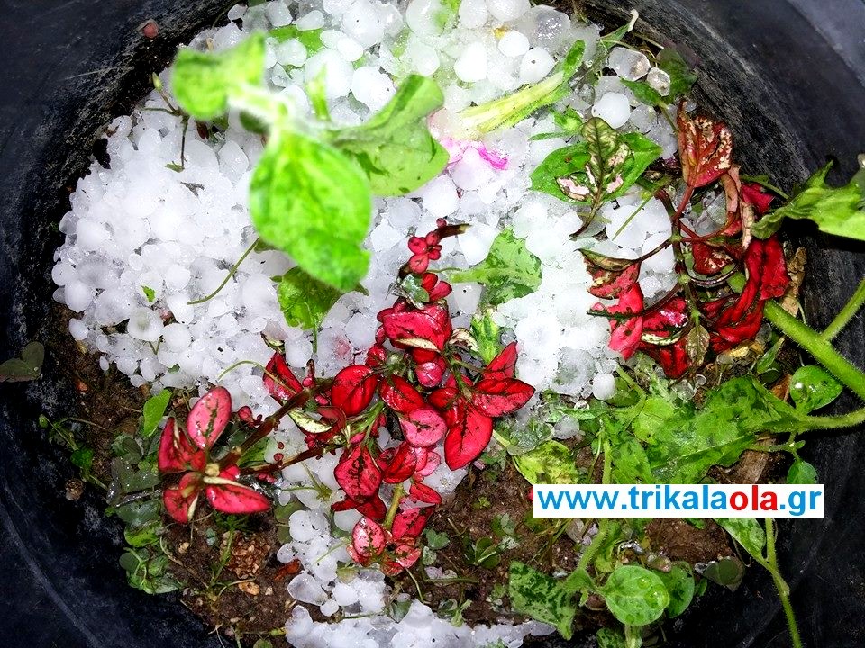 10380368_10154163084625062_6735007688527614363_n