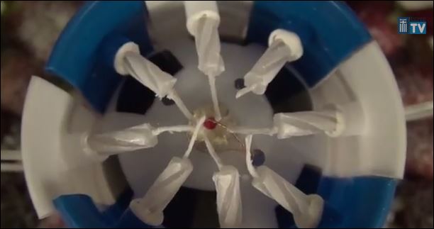 ΒΙΝΤΕΟ-Τα γενέθλια του Σάμαρη στην Βραζιλία