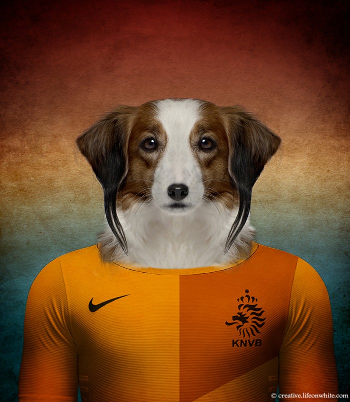 Dogs Wearing Jerseys for 2014 FIFA World Cup