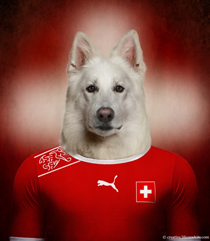 Dogs Wearing Jerseys for 2014 FIFA World Cup