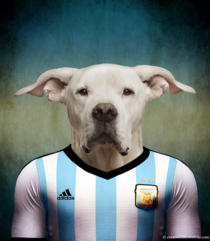 Dogs Wearing Jerseys for 2014 FIFA World Cup
