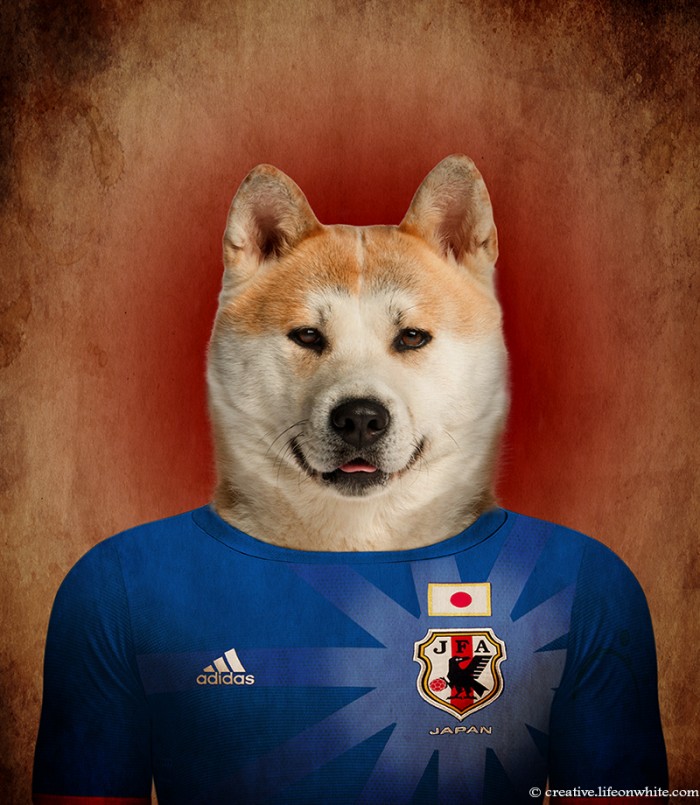 Dogs Wearing Jerseys for 2014 FIFA World Cup