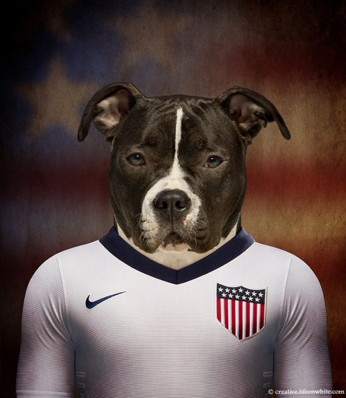 Dogs Wearing Jerseys for 2014 FIFA World Cup