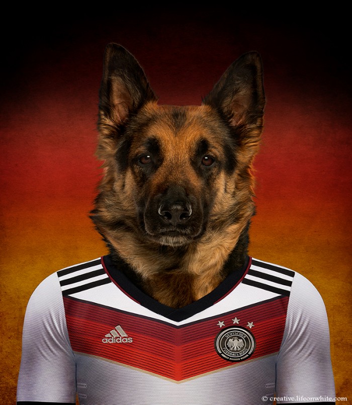 Dogs Wearing Jerseys for 2014 FIFA World Cup