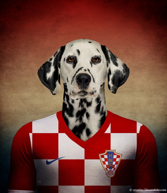 Dogs Wearing Jerseys for 2014 FIFA World Cup