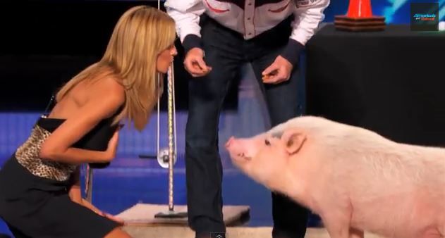 ΒΙΝΤΕΟ-Η Χάιντι Κλουμ φίλησε…γουρούνι