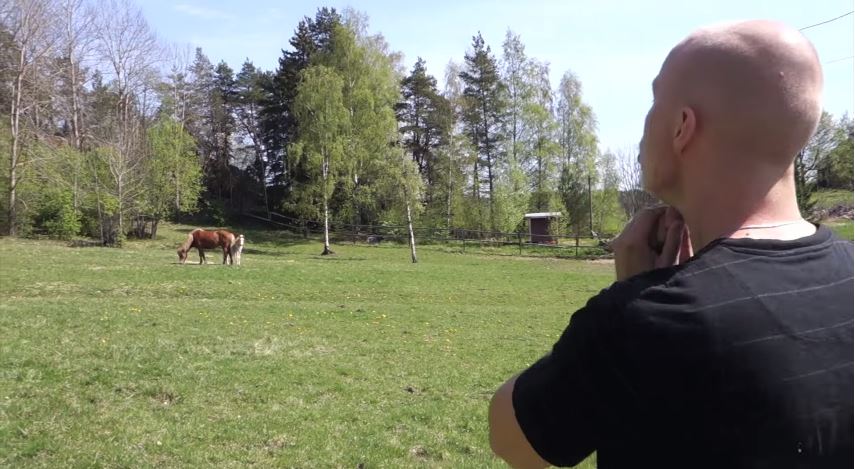 ΒΙΝΤΕΟ-Ο πραγματικός γητευτής των αλόγων